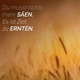 Du musst nichts mehr säen. es ist Zeit zu Ernten.