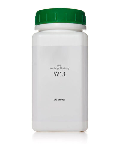 Weidinger W13