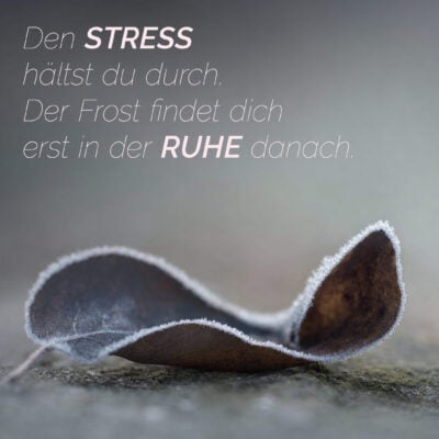 Den Stress hältst du durch. Der Frost findet dich erst in der Ruhe danach.